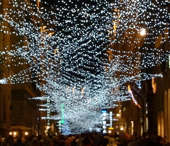 Illuminazione Di Natale.Ultimi Giorni Per Aderire Alle Luci Di Natale 2017 In Centro Storico L Appello Della Presidente Del Ccn Barsotti Confcommercio Lucca E Massa Carrara